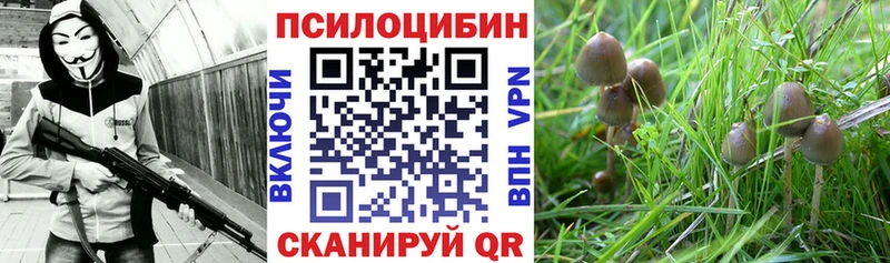 Псилоцибиновые грибы MAGIC MUSHROOMS  Озёрск 